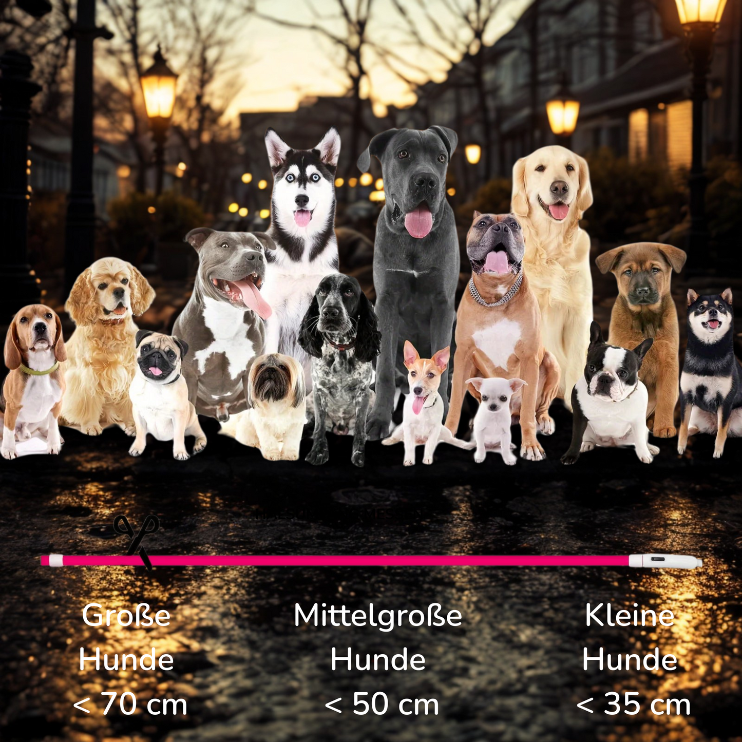 LED-Leuchthalsband für Hunde, USB-Aufladung