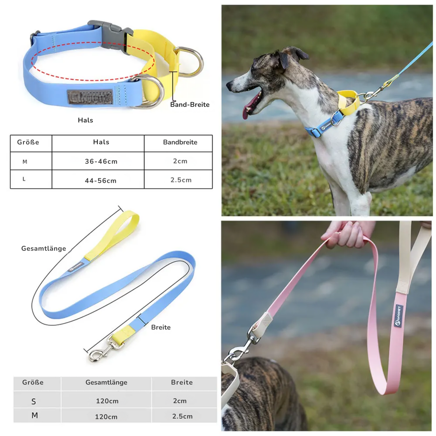 Hunde-Halsband + Leinen-Set „Solid“ aus der Glutinous Series