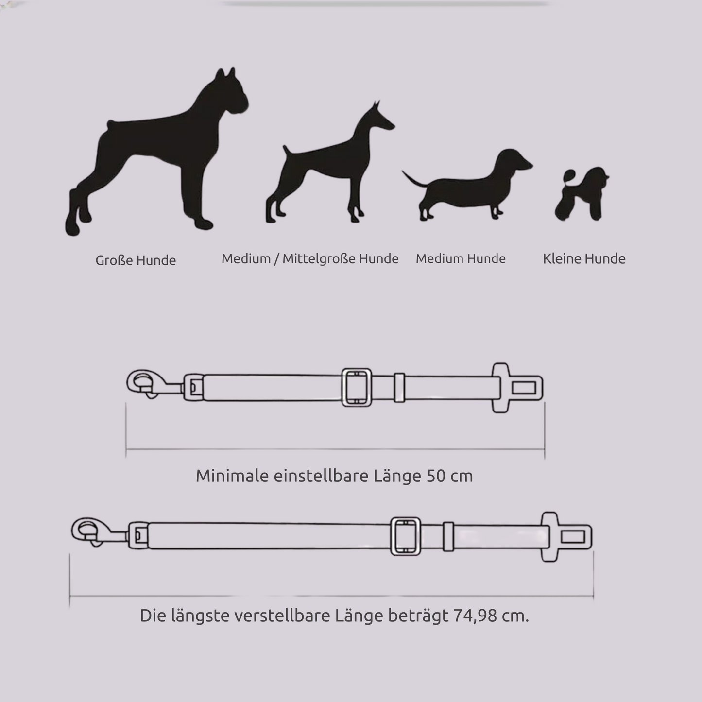 Hunde-Anschnallgurt fürs Auto