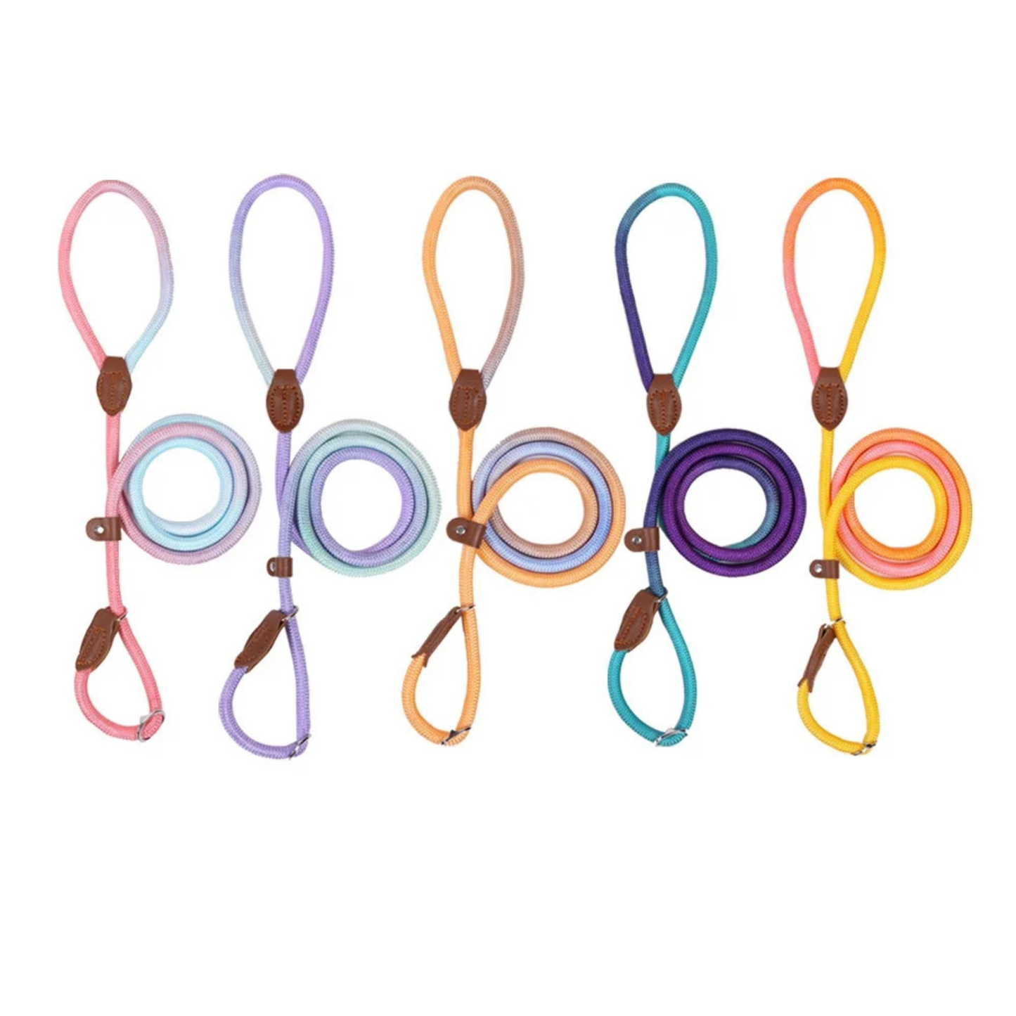 Retriever Nylon-Leine "Gradient"