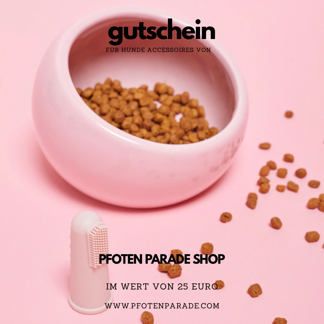 Gutschein für einen Pfoten-Liebhaber