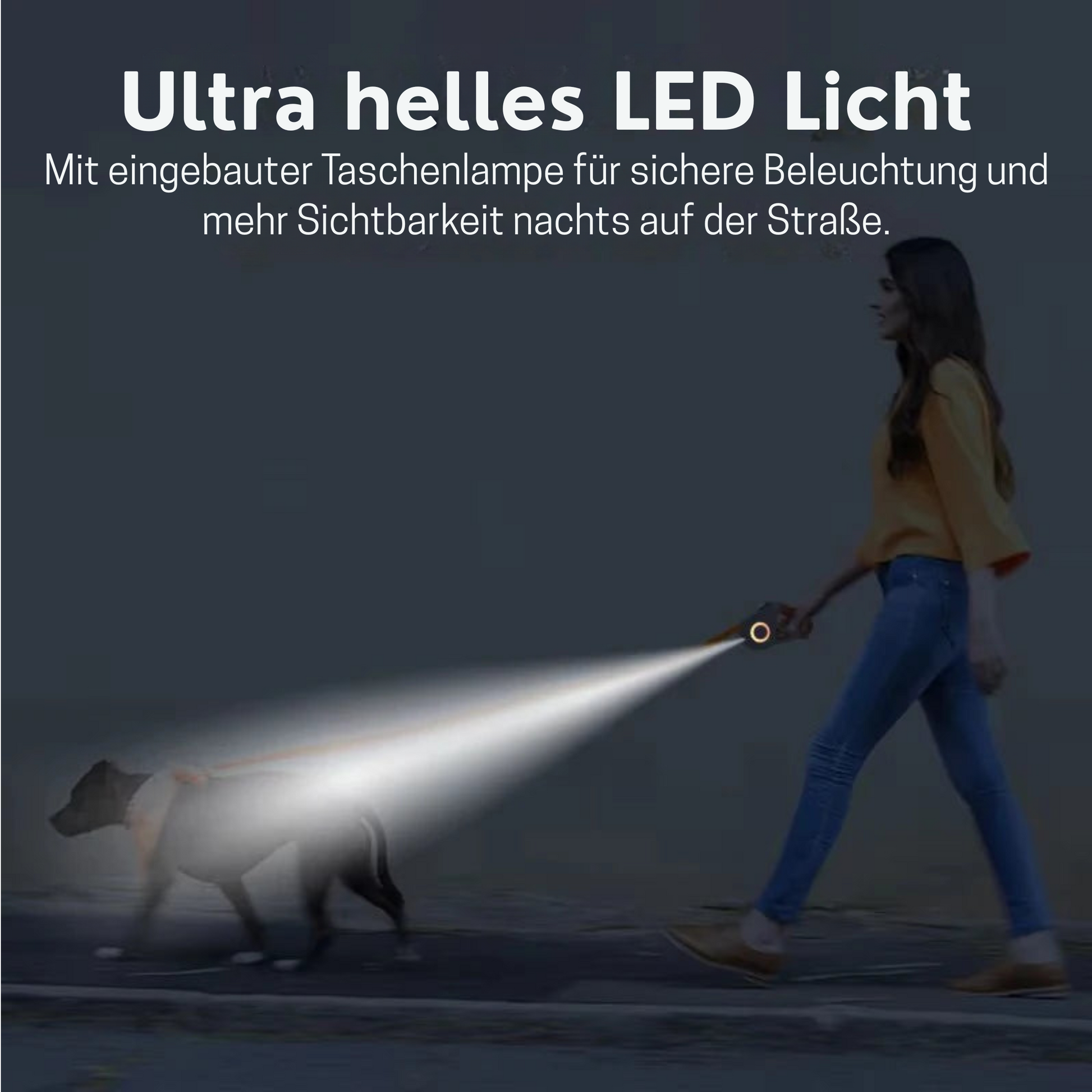 5m Roll-Leine mit integrierter Beleuchtung