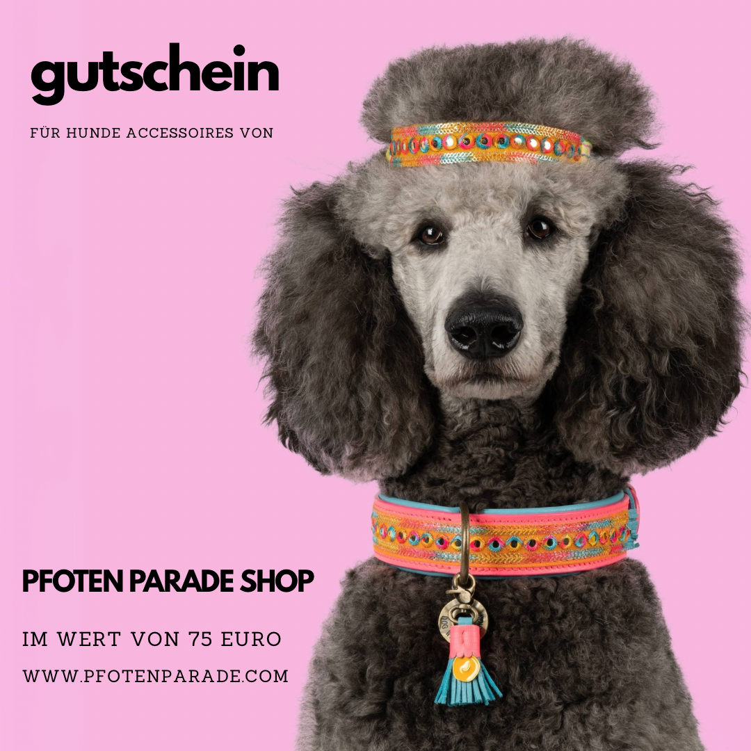 Gutschein für einen Pfoten-Liebhaber