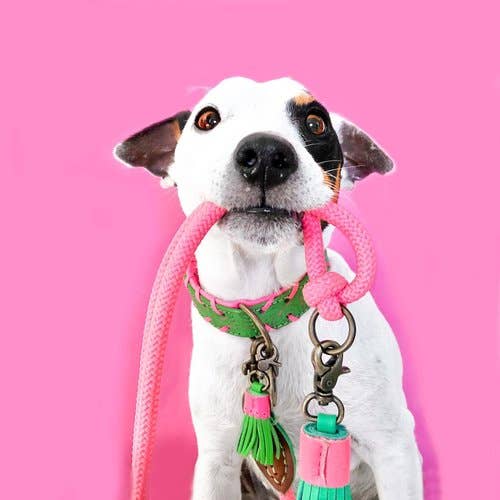 Dog with a Mission - Watermelon Sugar Halsband