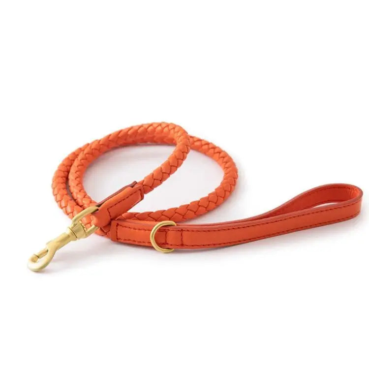 Leder Hundehalsband und Leine Set "Braided'N'Style"