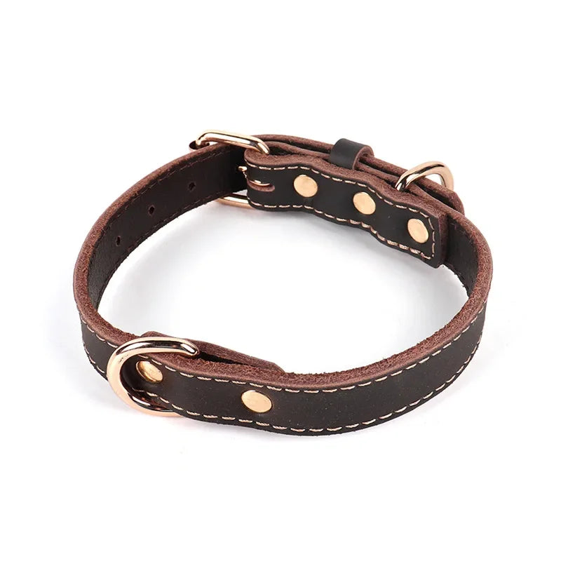 Elegantes Hundehalsband aus Rindsleder – Braun mit goldener Schnalle