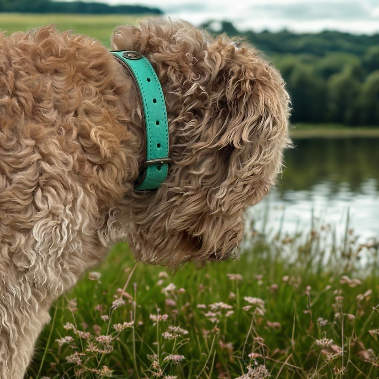 Dog with a Mission - Rebel Halsband