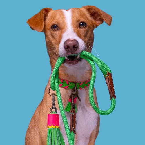 Dog with a Mission - Watermelon Sugar Halsband