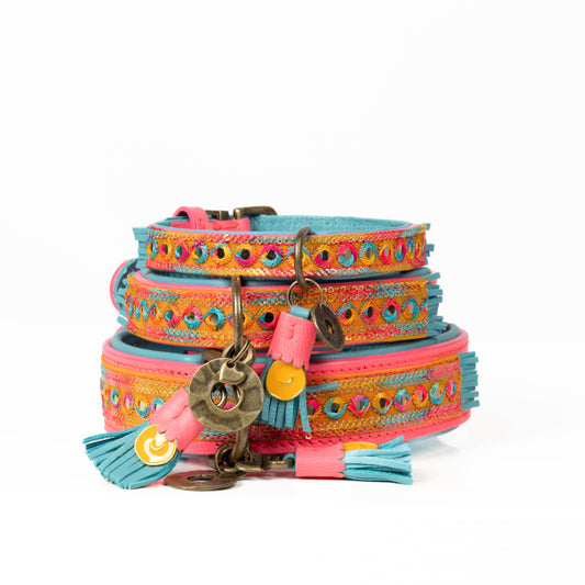 Dog with a Mission - Indian Summer Halsband