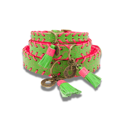 Dog with a Mission - Watermelon Sugar Halsband