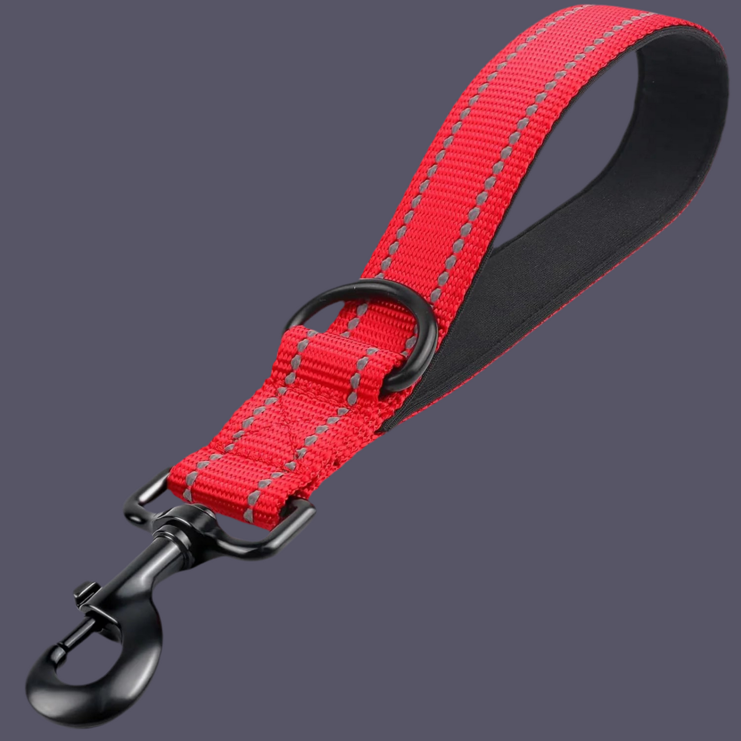 Kurzeleine, Führungsleine, Heavy Duty, Nylon
