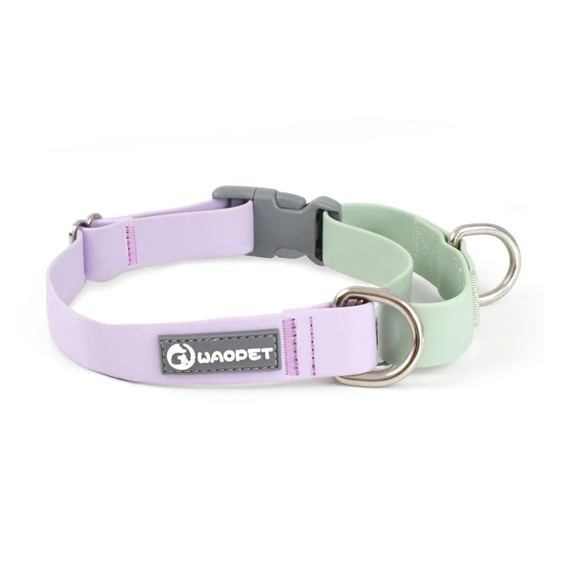 Hunde-Halsband + Leinen-Set „Solid“ aus der Glutinous Series