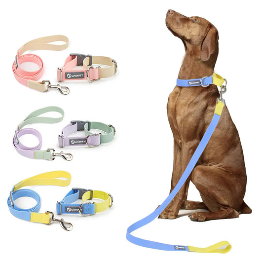 Hunde-Halsband + Leinen-Set „Solid“ aus der Glutinous Series