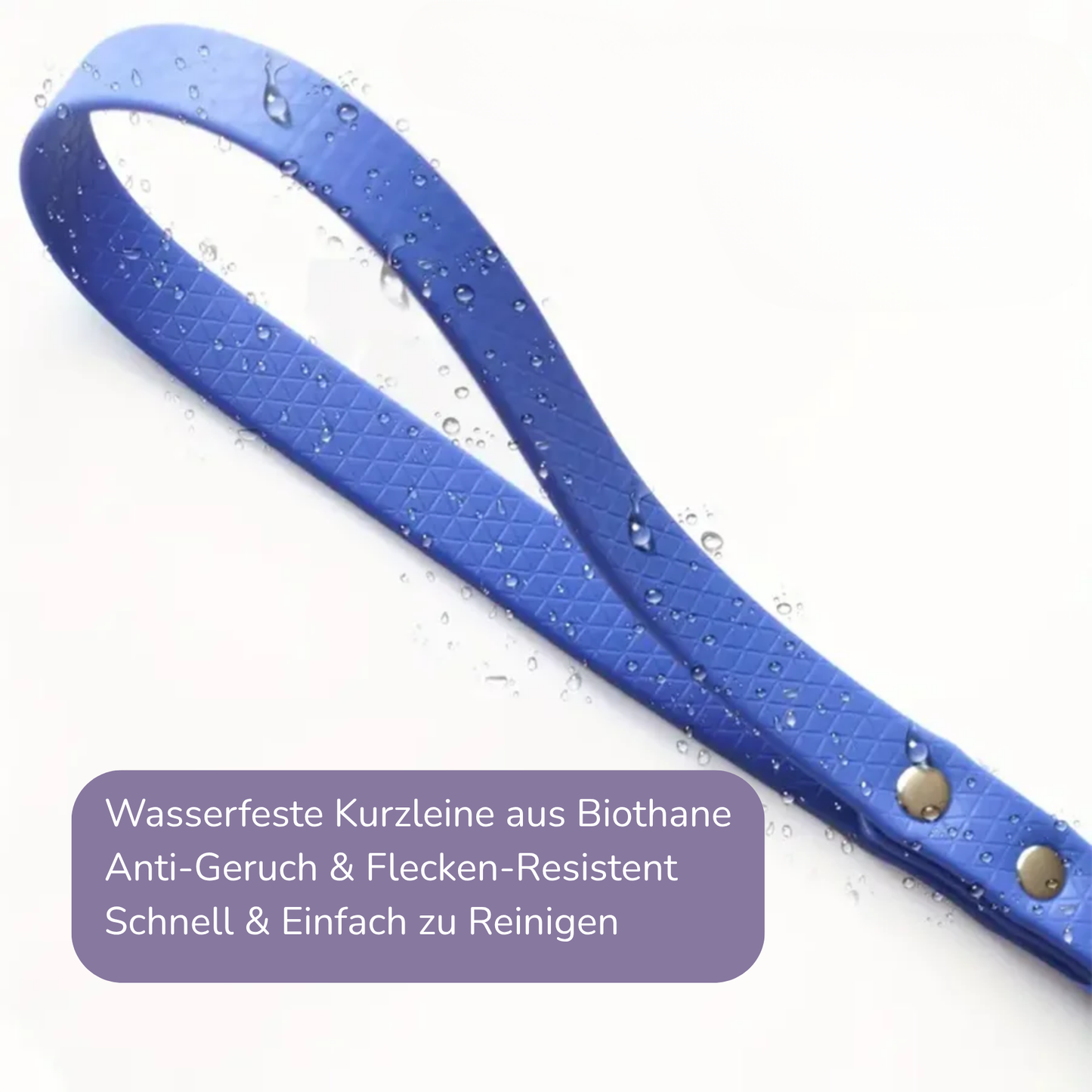 Wasserfeste Biothane Kurzleine, Führleine für die Stadt