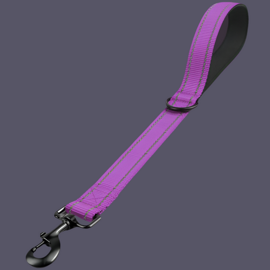 Kurzeleine, Führungsleine, Heavy Duty, Nylon