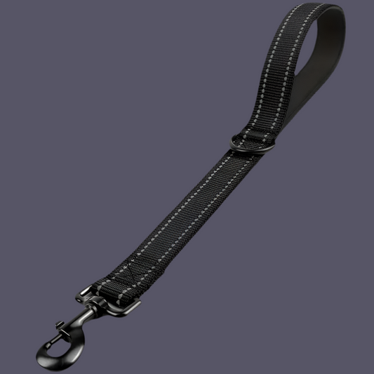 Kurzeleine, Führungsleine, Heavy Duty, Nylon