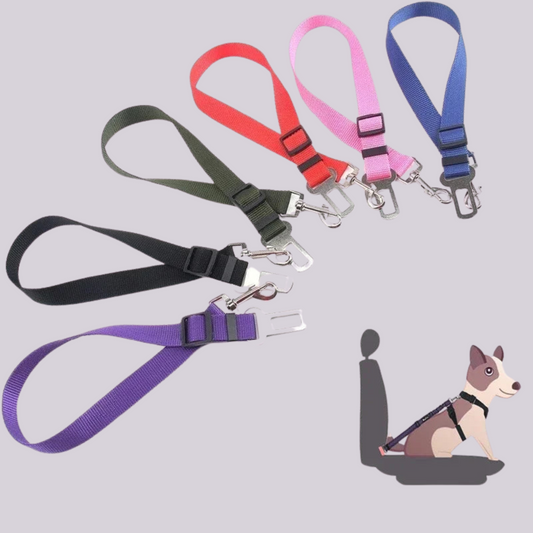 Hunde-Anschnallgurt fürs Auto