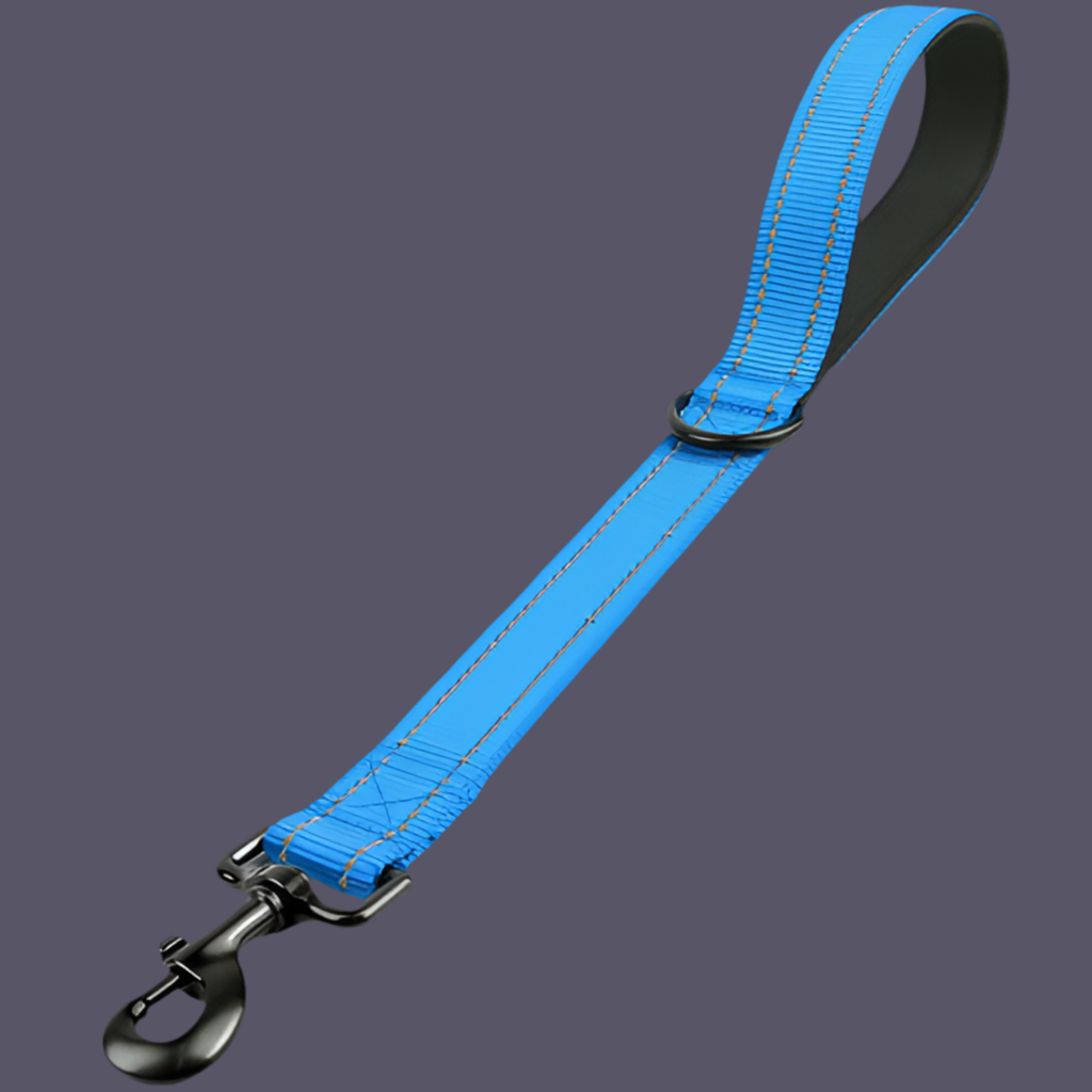 Kurzeleine, Führungsleine, Heavy Duty, Nylon