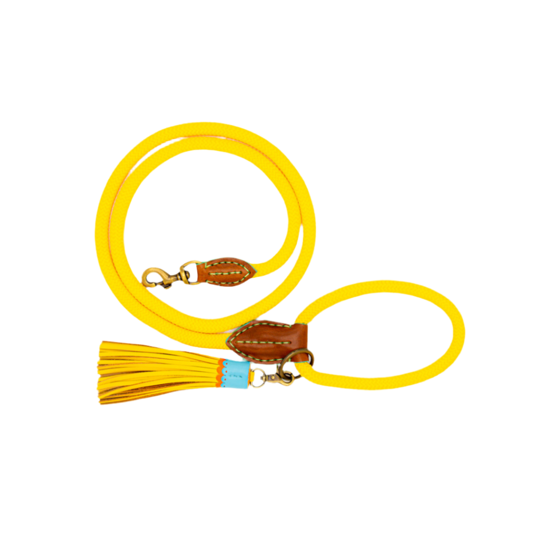 Dog with a Mission - Sunny Hundeleine L