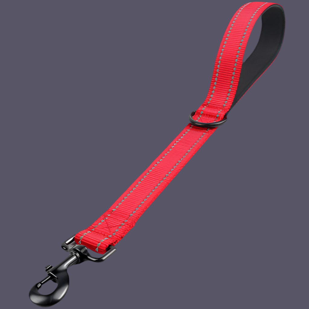 Kurzeleine, Führungsleine, Heavy Duty, Nylon