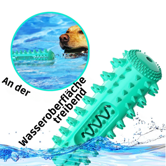 "Floaty" Wasserspielzeug zum Apportieren