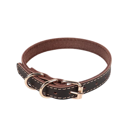 Elegantes Hundehalsband aus Rindsleder – Braun mit goldener Schnalle