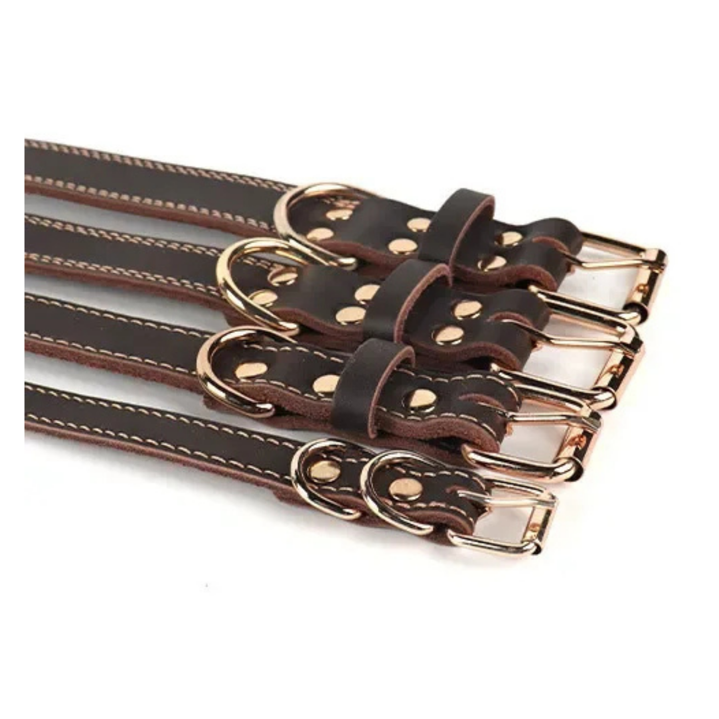 Elegantes Hundehalsband aus Rindsleder – Braun mit goldener Schnalle