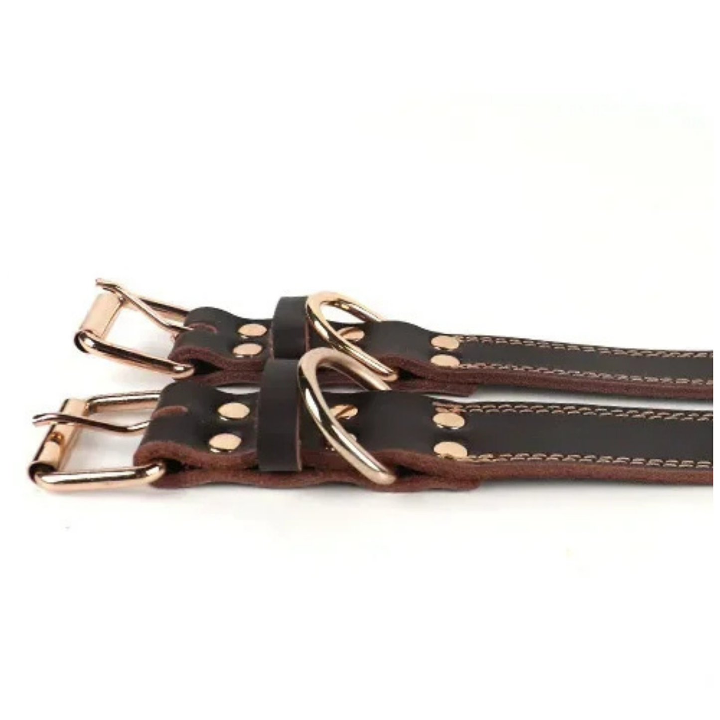 Elegantes Hundehalsband aus Rindsleder – Braun mit goldener Schnalle