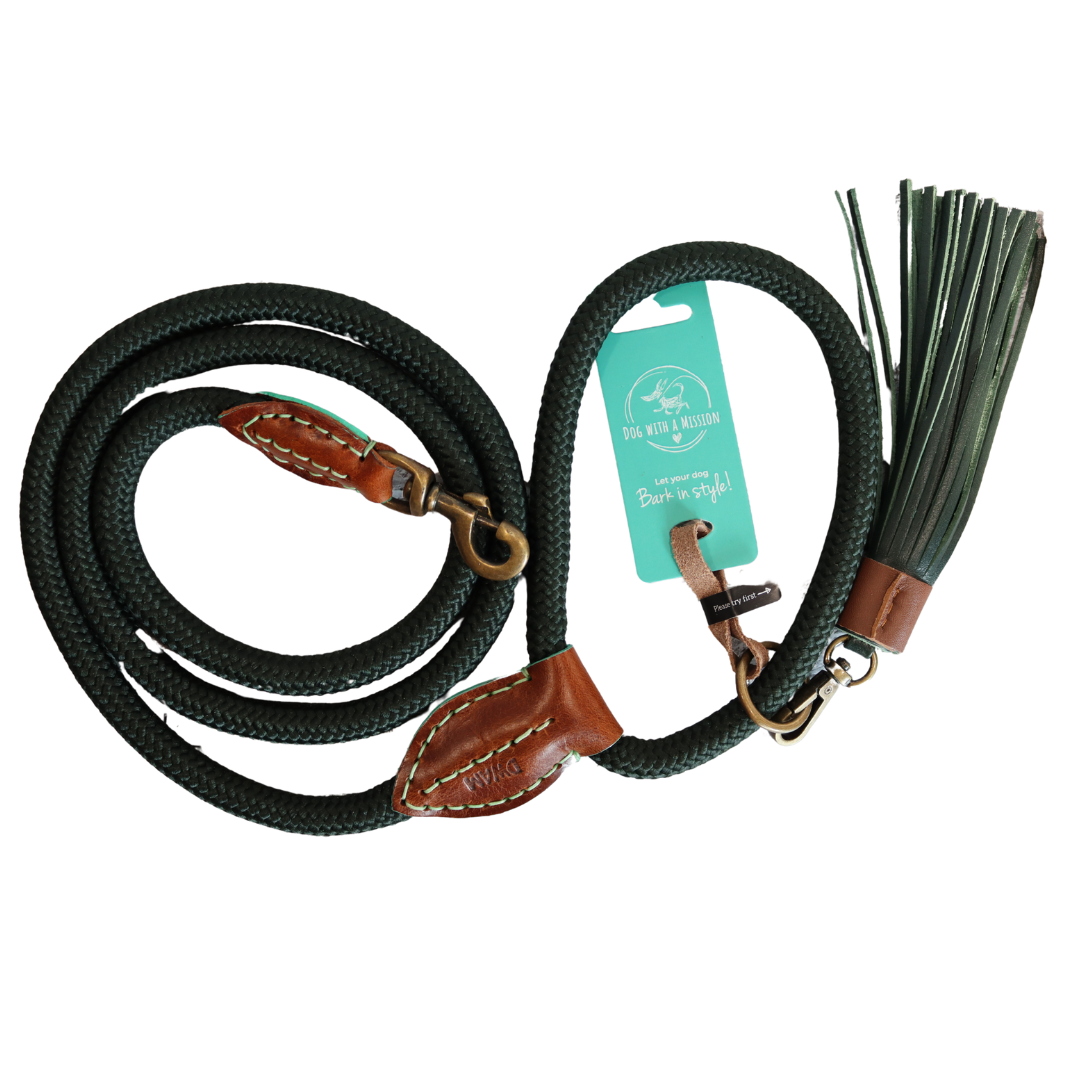 Dog with a Mission - Hundeleine Bowie L