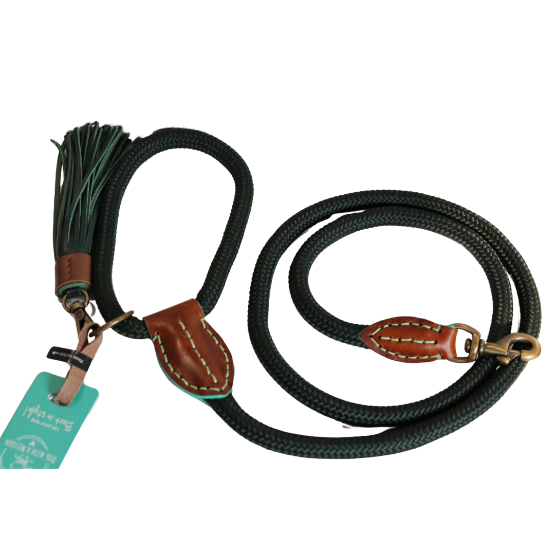 Dog with a Mission - Hundeleine Bowie L