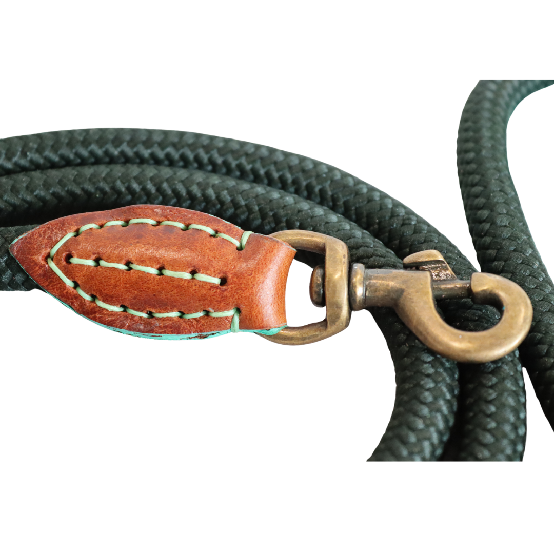 Dog with a Mission - Hundeleine Bowie L