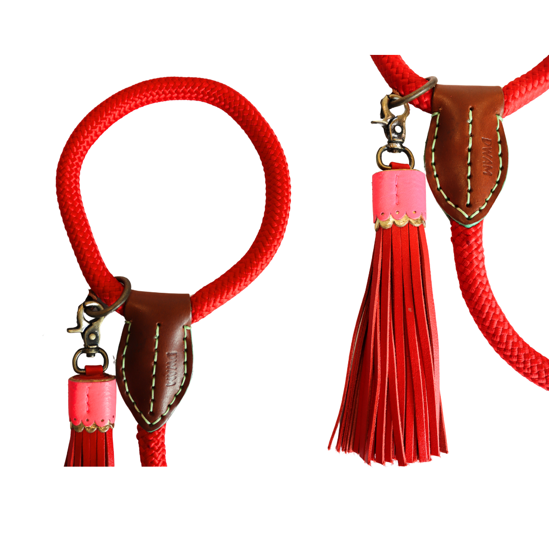 Dog with a Mission - Hundeleine Red Velvet L