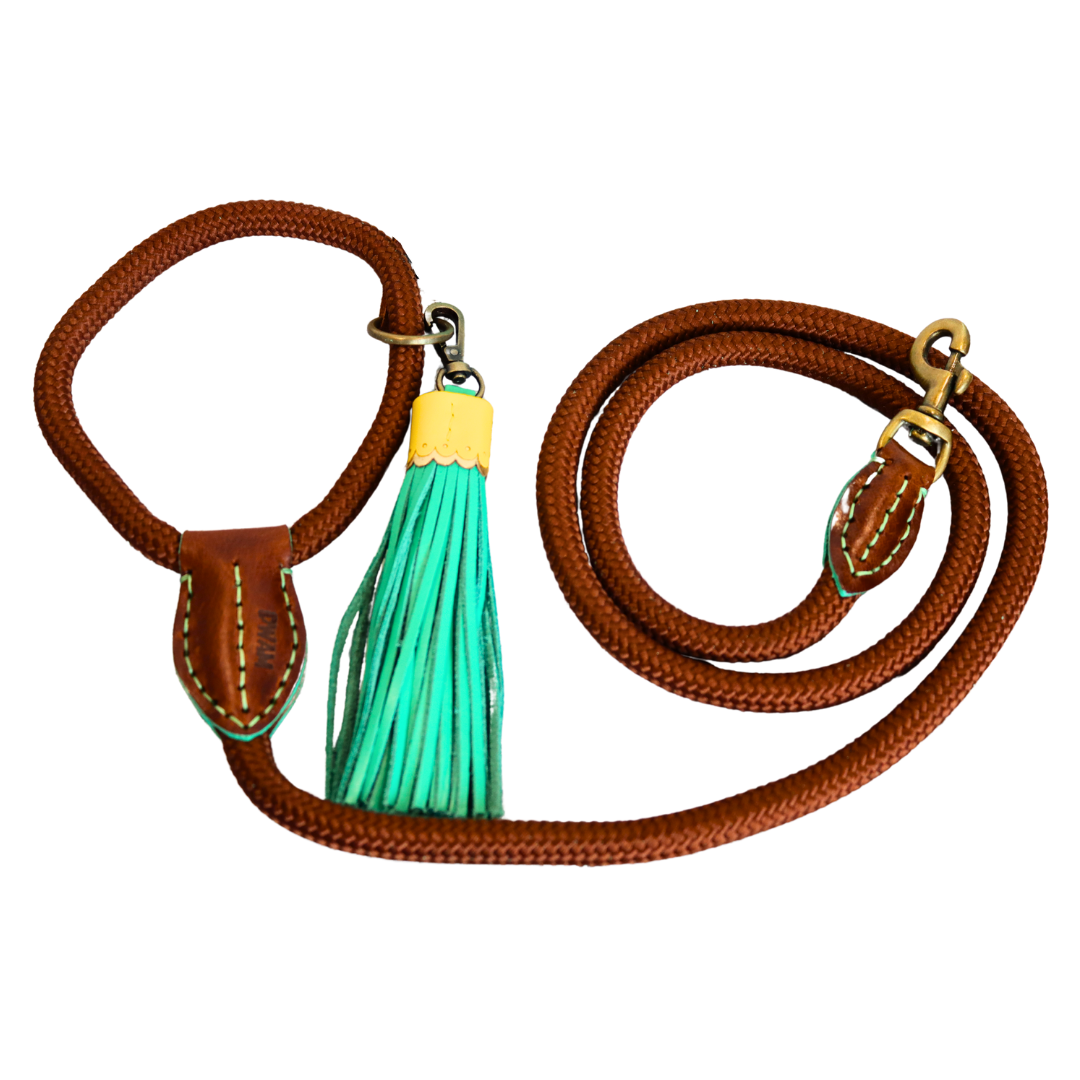 Dog with a Mission - Rover Hundeleine L