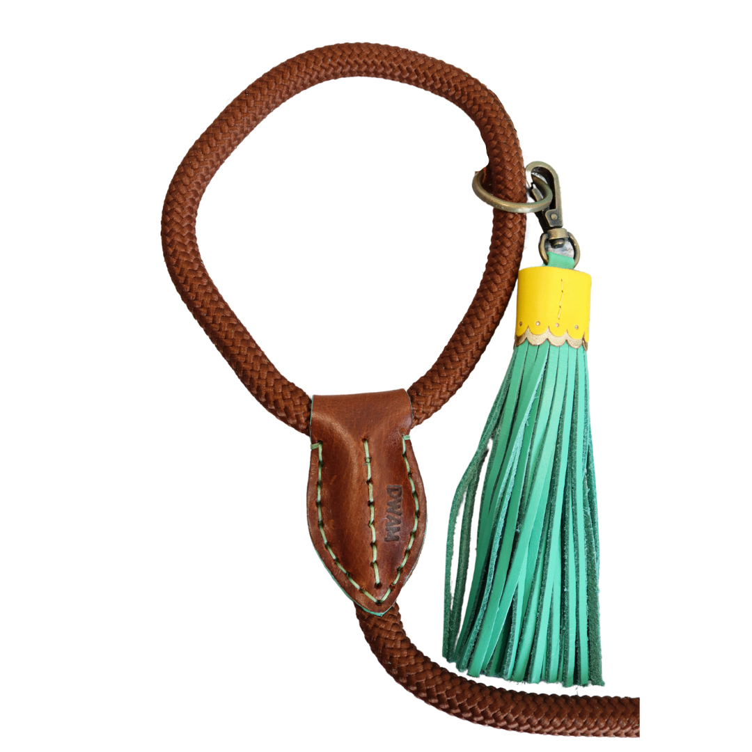 Dog with a Mission - Rover Hundeleine L