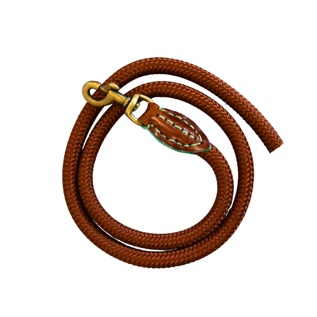 Dog with a Mission - Rover Hundeleine L