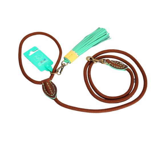 Dog with a Mission - Rover Hundeleine S