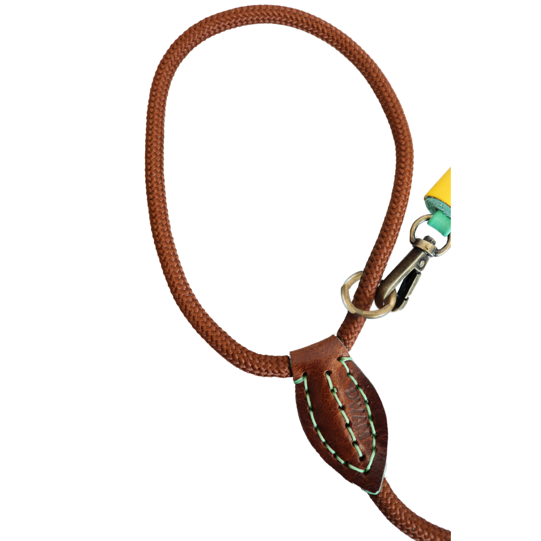 Dog with a Mission - Rover Hundeleine S