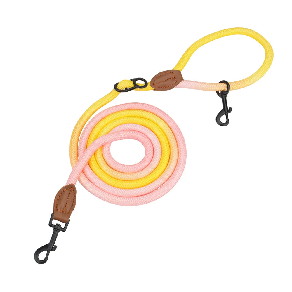 Doppelseitige Crossbody Hundeleine "Swirl"