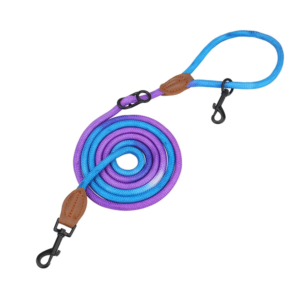 Doppelseitige Crossbody Hundeleine "Swirl"