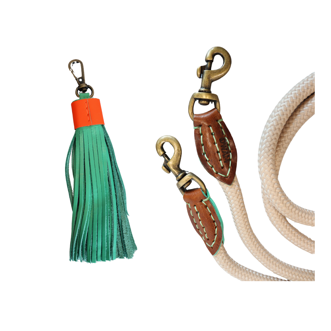 Dog with a Mission - Extra Lang Sand Hundeleine L