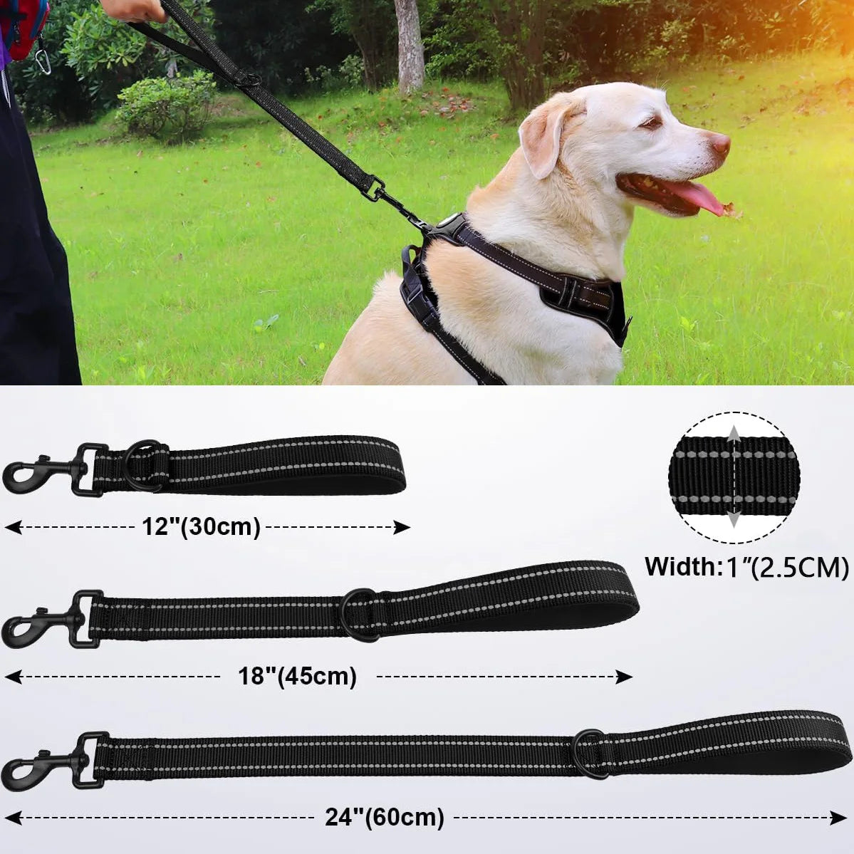 Kurzeleine, Führungsleine, Heavy Duty, Nylon