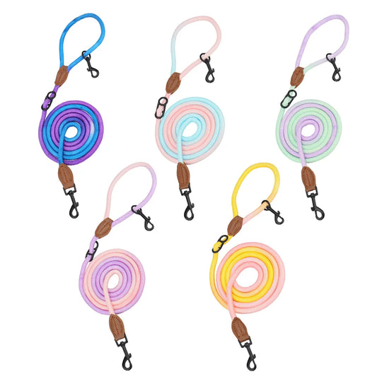 Doppelseitige Crossbody Hundeleine "Swirl"