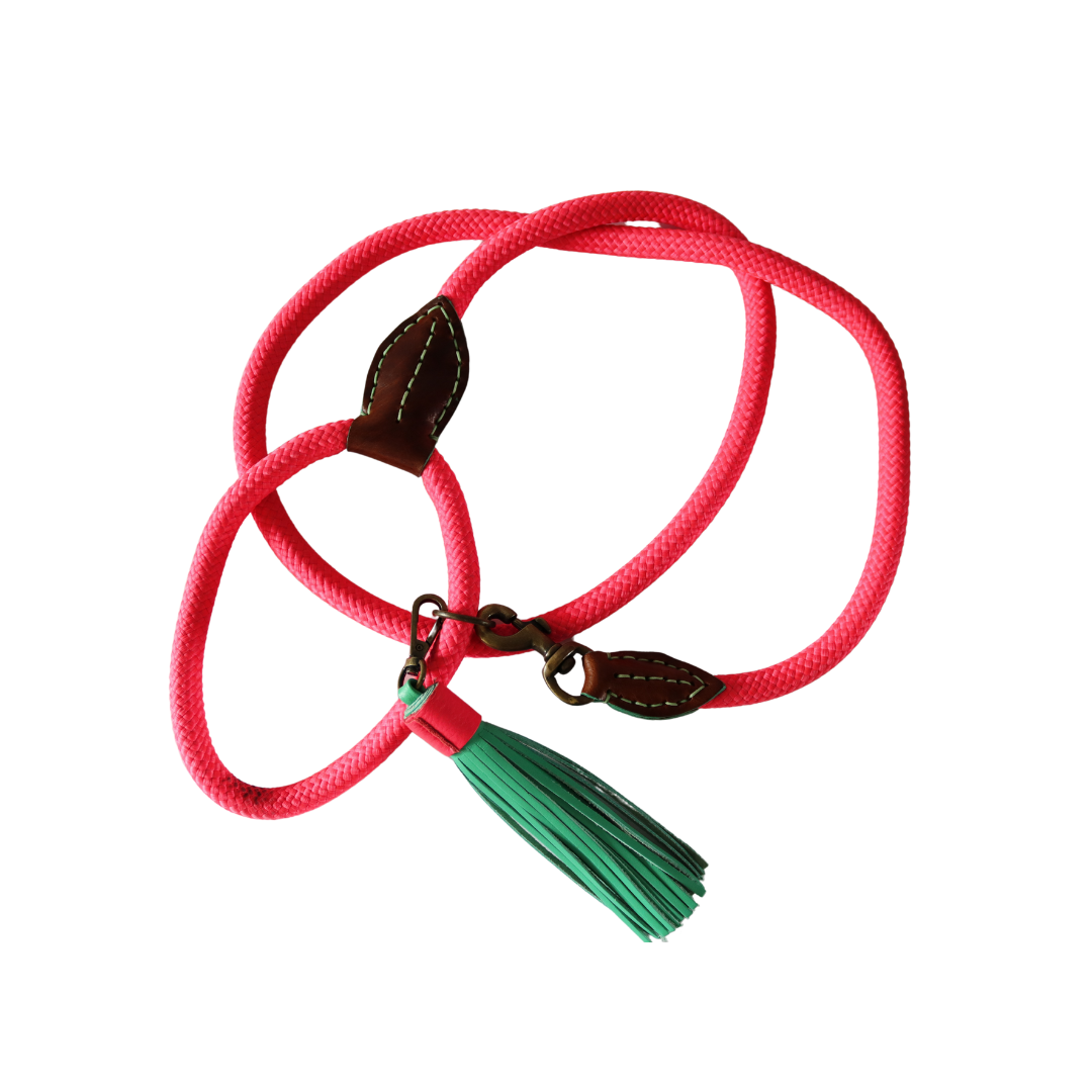 Dog with a Mission - Sugarbabe Hundeleine L