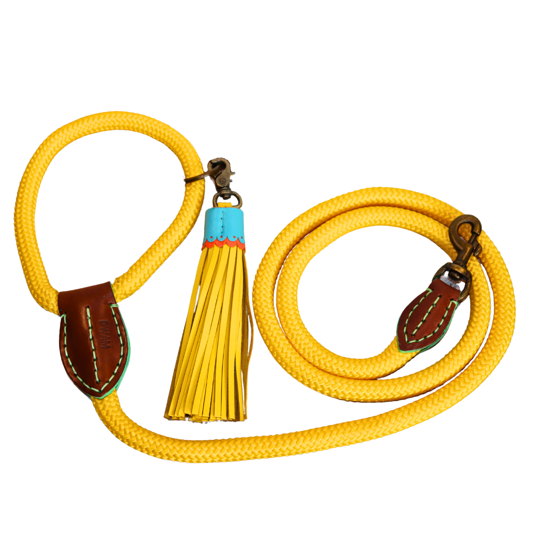 Dog with a Mission - Sunny Hundeleine L