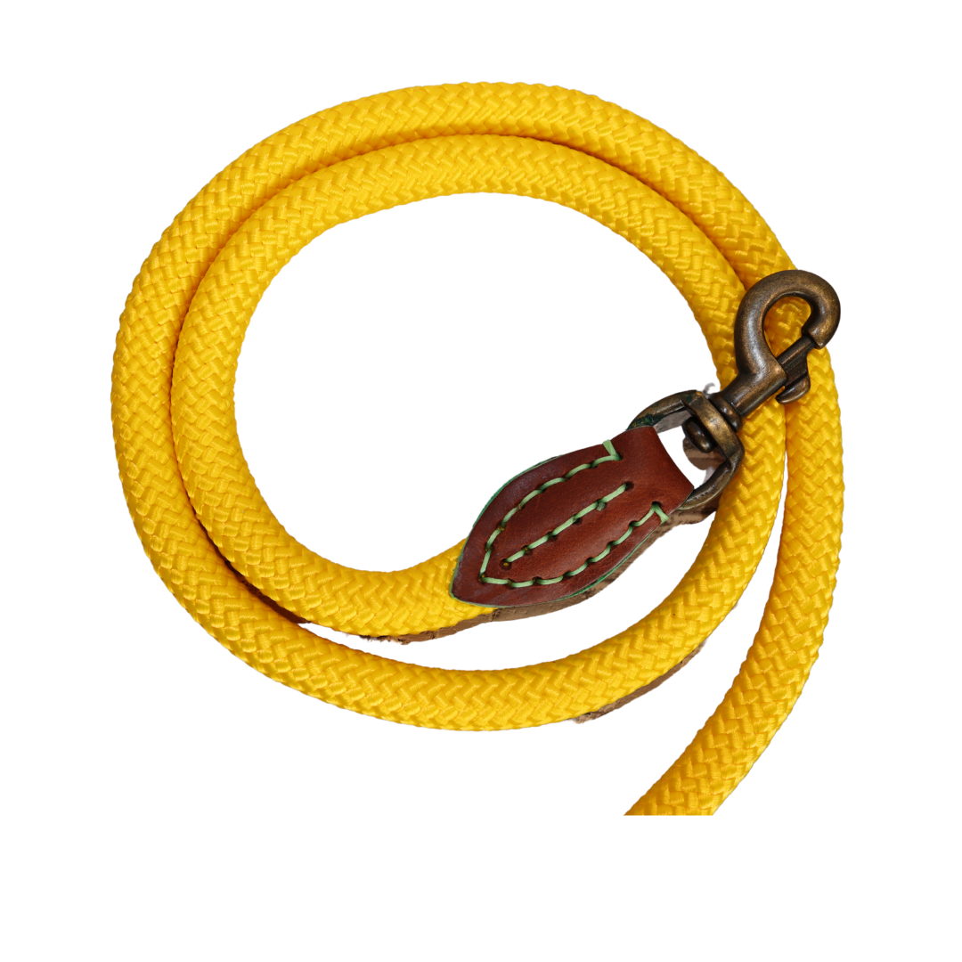 Dog with a Mission - Sunny Hundeleine L