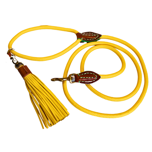 Dog with a Mission - Sunny Hundeleine S