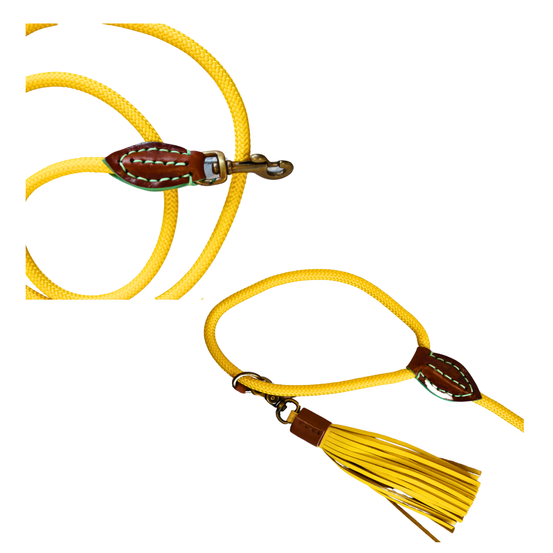 Dog with a Mission - Sunny Hundeleine S