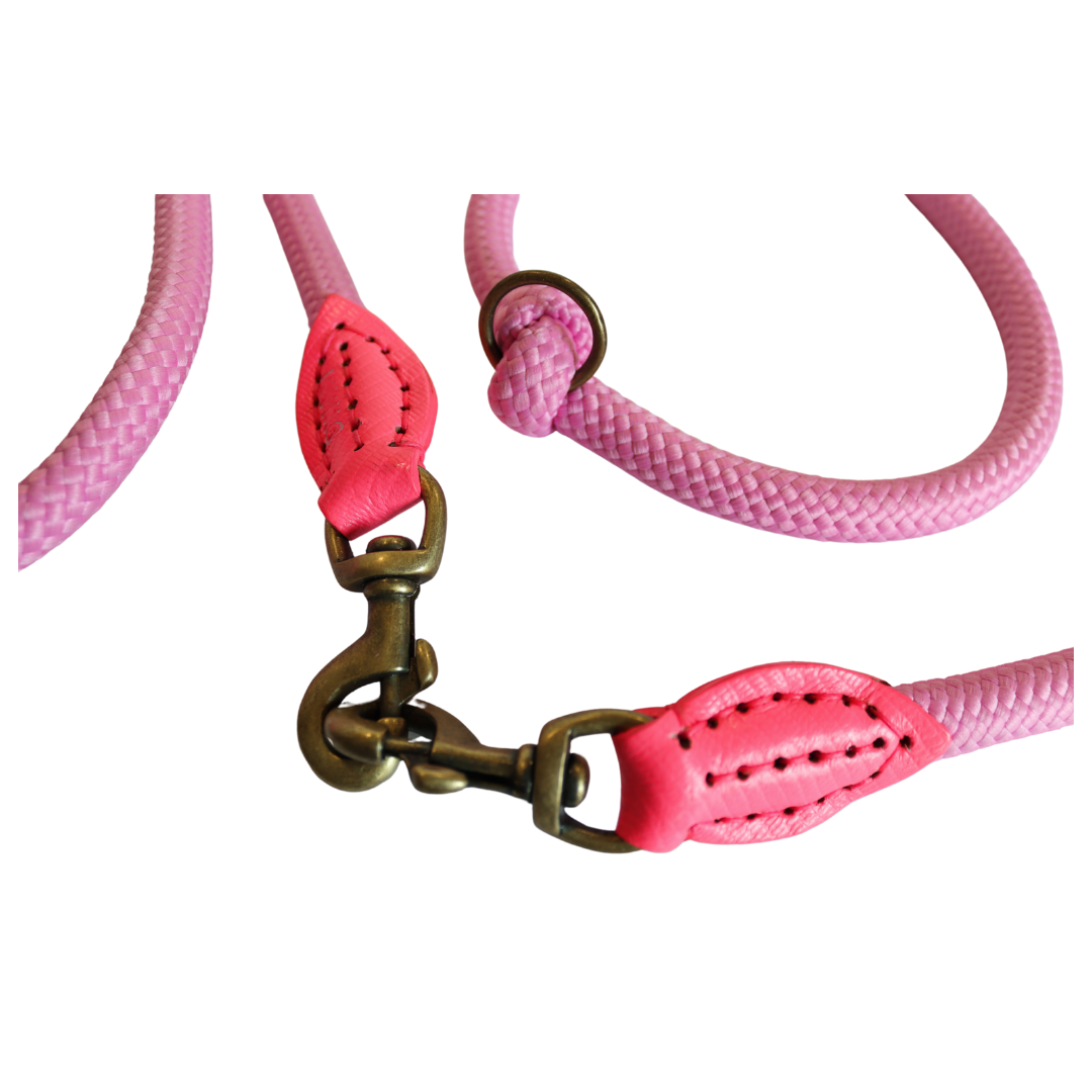 Dog with a Mission - Extra Lang Sweety Hundeleine L