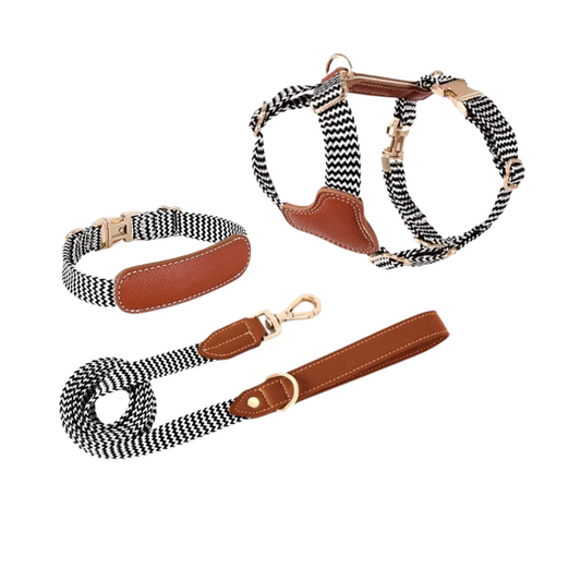 Gestreiftes Nylon-Leder Kombi-Set  "ZicZac" - Leine, Halsband, Geschirr