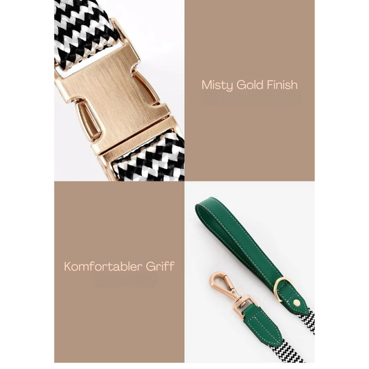 Gestreiftes Nylon-Leder Kombi-Set  "ZicZac" - Leine, Halsband, Geschirr